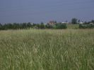 Продам земельный участок 187 соток у д, Кузнецы и Большое Коновалово (3 фотографии)